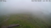 Archiv Foto Webcam Mutta Richtung Alp Raguta 11:00