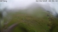 Archiv Foto Webcam Mutta Richtung Alp Raguta 19:00
