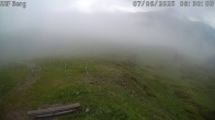 Archived image Webcam Mutta - Alp Raguta 07:00