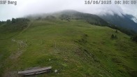 Archived image Webcam Mutta - Alp Raguta 07:00