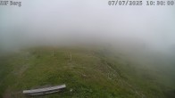 Archiv Foto Webcam Mutta Richtung Alp Raguta 04:00
