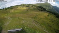 Archived image Webcam Mutta - Alp Raguta 15:00