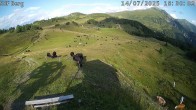 Archived image Webcam Mutta - Alp Raguta 17:00