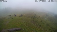 Archived image Webcam Mutta - Alp Raguta 11:00