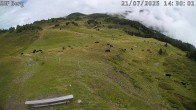 Archived image Webcam Mutta - Alp Raguta 13:00