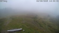 Archiv Foto Webcam Mutta Richtung Alp Raguta 13:00