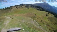 Archiv Foto Webcam Mutta Richtung Alp Raguta 11:00