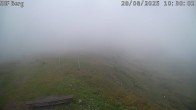 Archiv Foto Webcam Mutta Richtung Alp Raguta 09:00