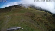 Archiv Foto Webcam Mutta Richtung Alp Raguta 11:00