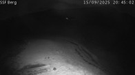 Archived image Webcam Mutta - Alp Raguta 21:00