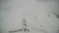 Archived image Webcam Mutta - Alp Raguta 06:00