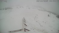 Archived image Webcam Mutta - Alp Raguta 07:00