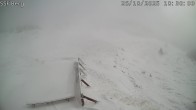 Archived image Webcam Mutta - Alp Raguta 09:00