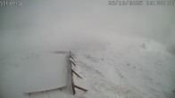 Archived image Webcam Mutta - Alp Raguta 11:00