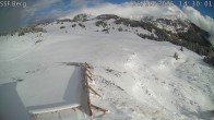 Archived image Webcam Mutta - Alp Raguta 13:00