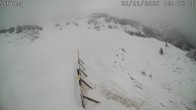 Archiv Foto Webcam Mutta Richtung Alp Raguta 11:00