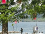 Archiv Foto Webcam Morat-See, Murten 11:00