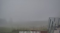 Archiv Foto Webcam Gummenalp 11:00