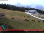 Archiv Foto Webcam Bergstation Skigebiet Ratschings-Jaufen 13:00