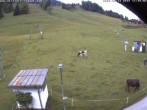 Archiv Foto Webcam Skilifte Raggal Blick auf die Piste 11:00