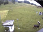 Archiv Foto Webcam Skilifte Raggal Blick auf die Piste 15:00