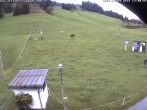 Archiv Foto Webcam Skilifte Raggal Blick auf die Piste 10:00