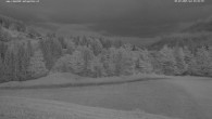 Archiv Foto Webcam Wodmaier bei Birnbaum 03:00