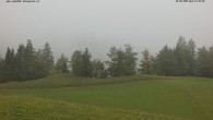 Archiv Foto Webcam Wodmaier bei Birnbaum 11:00