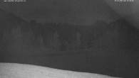 Archiv Foto Webcam Wodmaier bei Birnbaum 03:00
