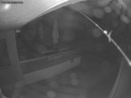 Archived image Webcam View of Rigi Kulm - mountain restaurant 23:00
