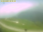 Archived image Webcam Alpe del Nevegal - Belluno 11:00