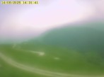 Archived image Webcam Alpe del Nevegal - Belluno 13:00