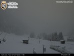 Archiv Foto Webcam Piste Flassin 11:00