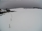 Archived image Webcam Skilifte Sinswang - view of the ski run 15:00