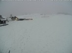 Archiv Foto Webcam Skilifte Sinswang - Blick auf die Skipiste 17:00