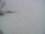 Archived image Webcam Skilifte Sinswang - view of the ski run 13:00