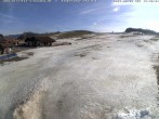 Archiv Foto Webcam Skilifte Sinswang - Blick auf die Skipiste 13:00