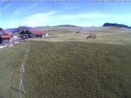 Archived image Webcam Skilifte Sinswang - view of the ski run 17:00