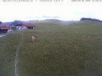 Archiv Foto Webcam Skilifte Sinswang - Blick auf die Skipiste 13:00