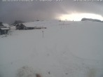 Archiv Foto Webcam Skilifte Sinswang - Blick auf die Skipiste 11:00