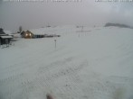Archiv Foto Webcam Skilifte Sinswang - Blick auf die Skipiste 15:00