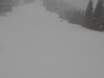 Archived image Webcam Spieserlifte Unterjoch View of the ski run 15:00