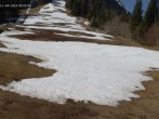 Archived image Webcam Spieserlifte Unterjoch View of the ski run 09:00