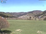 Archiv Foto Webcam Spitzenberg & Köpfle 11:00