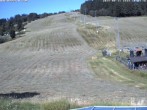 Archiv Foto Webcam Lifthang in Grün bei St. Englmar 09:00