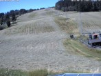 Archiv Foto Webcam Lifthang in Grün bei St. Englmar 11:00
