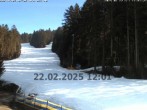 Archiv Foto Webcam Pröller (Pisten) 11:00