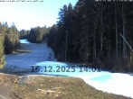 Archiv Foto Webcam Pröller (Pisten) 13:00