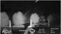 Archived image Webcam Ruhrquelle Winterberg Lower station 23:00