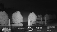 Archiv Foto Webcam Winterberg: Ruhrquelle Talstation 23:00